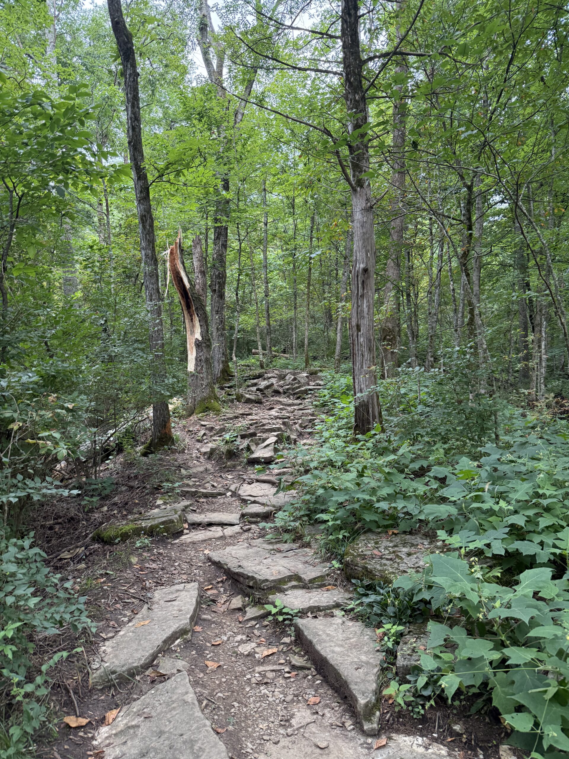 rocky steps trail