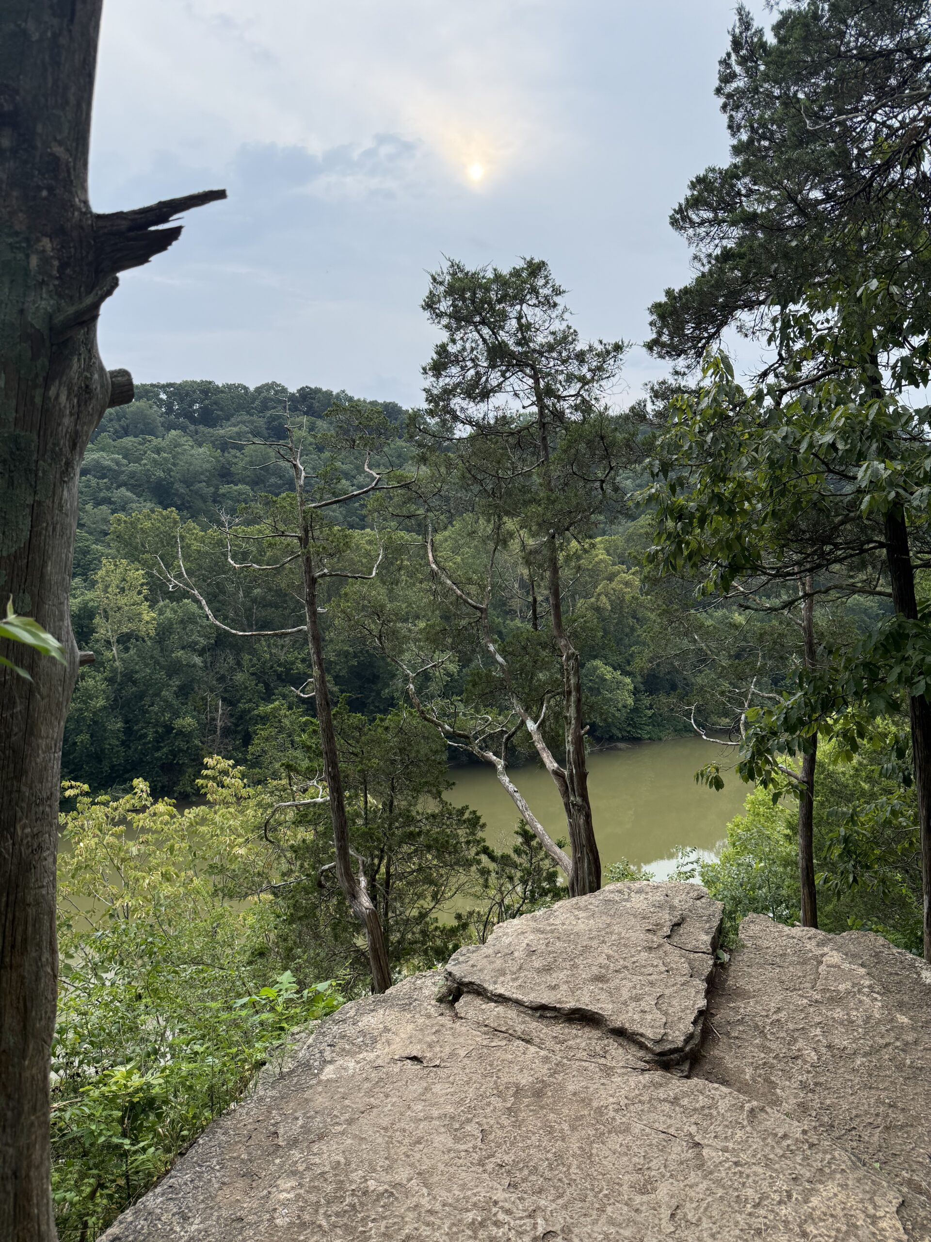 overlooking the Kentucky river